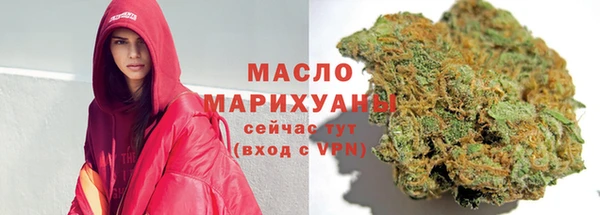 гашик Вяземский