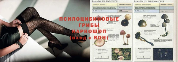 гашик Вяземский