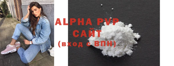 гашик Вяземский