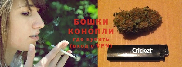 гашик Вяземский