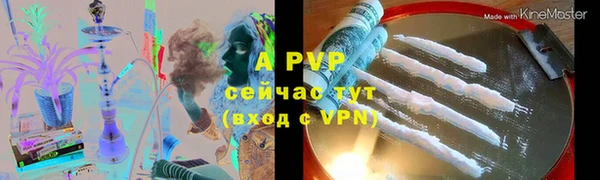 сатива Вязьма