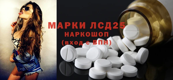 сатива Вязьма
