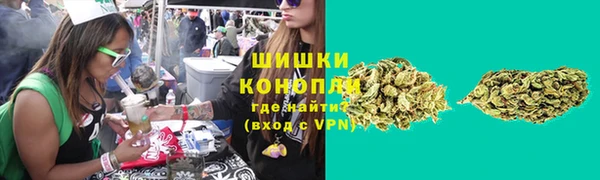 сатива Вязьма