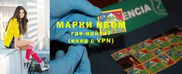 сатива Вязьма