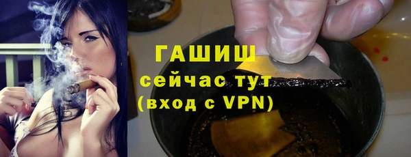 гашик Вяземский