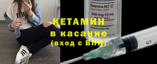 сатива Вязьма