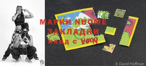 сатива Вязьма