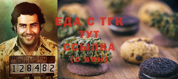 гашик Вяземский