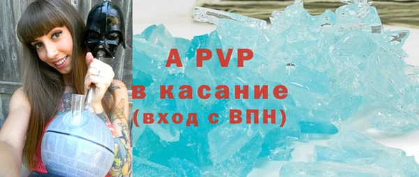гашик Вяземский